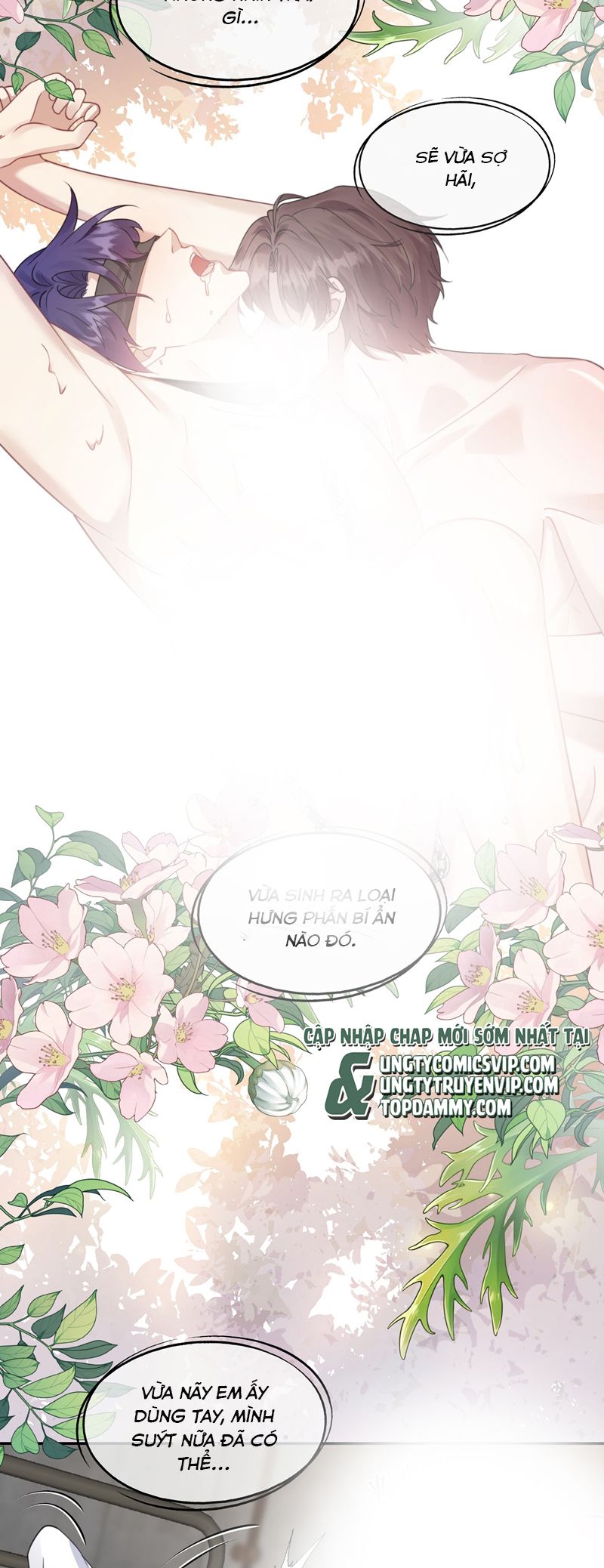 Gài Bẫy Ác Khuyển Chapter 43 - Trang 2