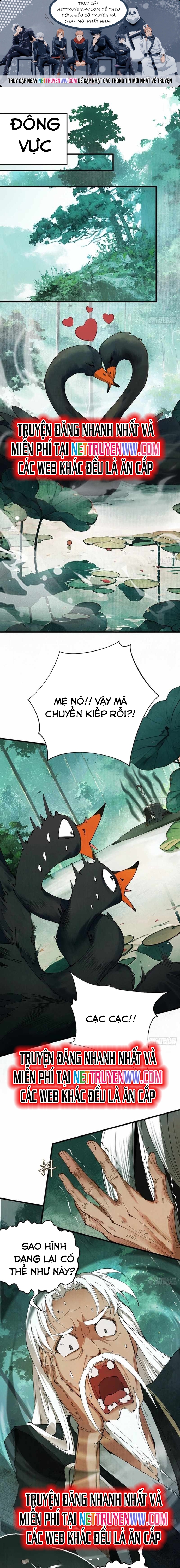 Gặp Mạnh Thì Càng Mạnh, Tu Vi Của Ta Không Giới Hạn Chapter 1 - Trang 2