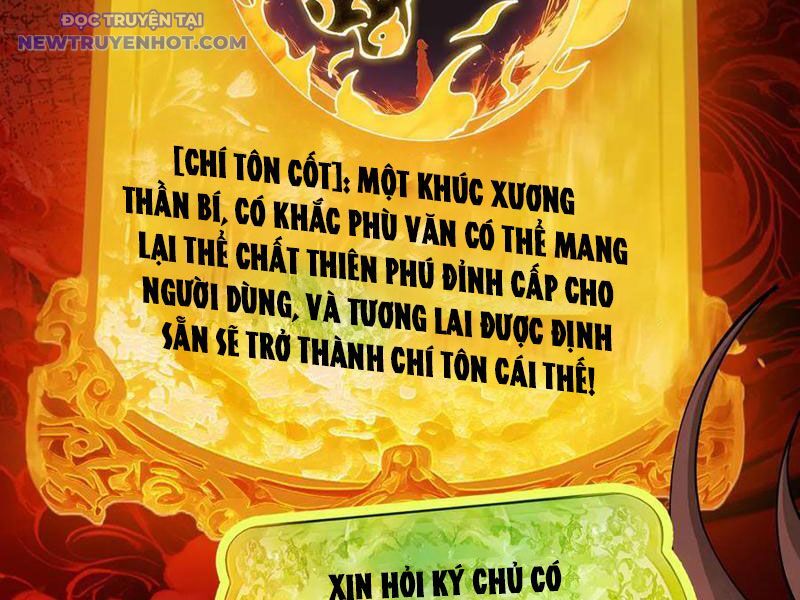 Gặp Mạnh Thì Càng Mạnh, Tu Vi Của Ta Không Giới Hạn Chapter 11 - Trang 2