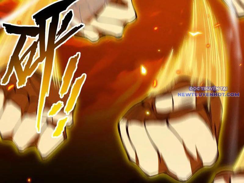 Gặp Mạnh Thì Càng Mạnh, Tu Vi Của Ta Không Giới Hạn Chapter 13 - Trang 2