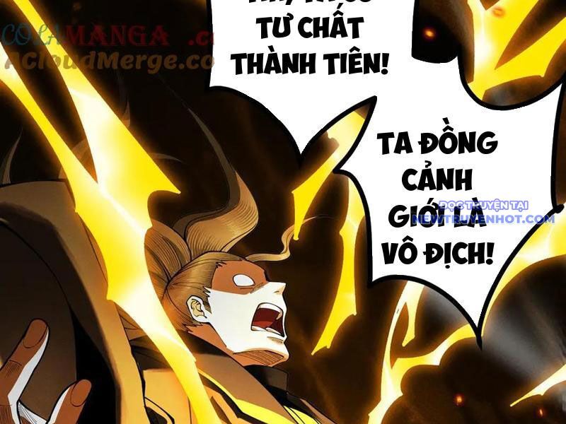 Gặp Mạnh Thì Càng Mạnh, Tu Vi Của Ta Không Giới Hạn Chapter 13 - Trang 2