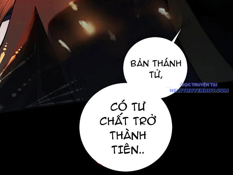 Gặp Mạnh Thì Càng Mạnh, Tu Vi Của Ta Không Giới Hạn Chapter 13 - Trang 2