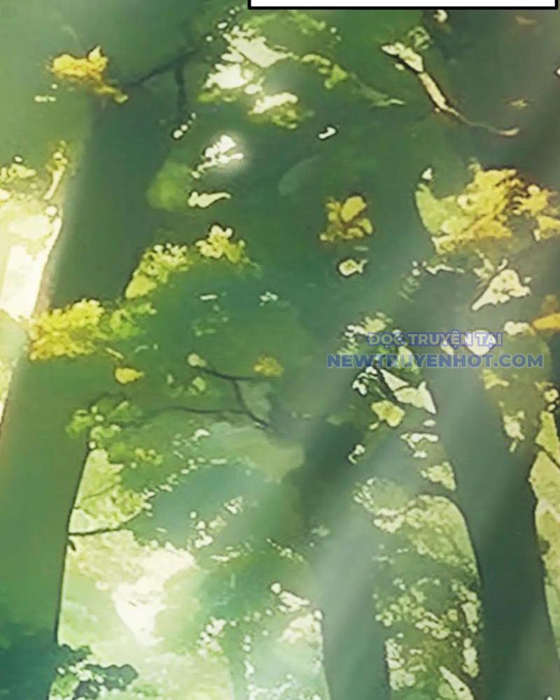 Gặp Mạnh Thì Càng Mạnh, Tu Vi Của Ta Không Giới Hạn Chapter 16 - Trang 2