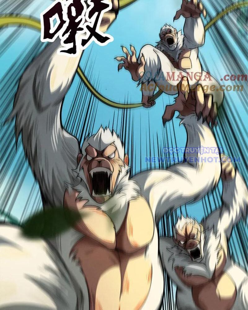 Gặp Mạnh Thì Càng Mạnh, Tu Vi Của Ta Không Giới Hạn Chapter 16 - Trang 2