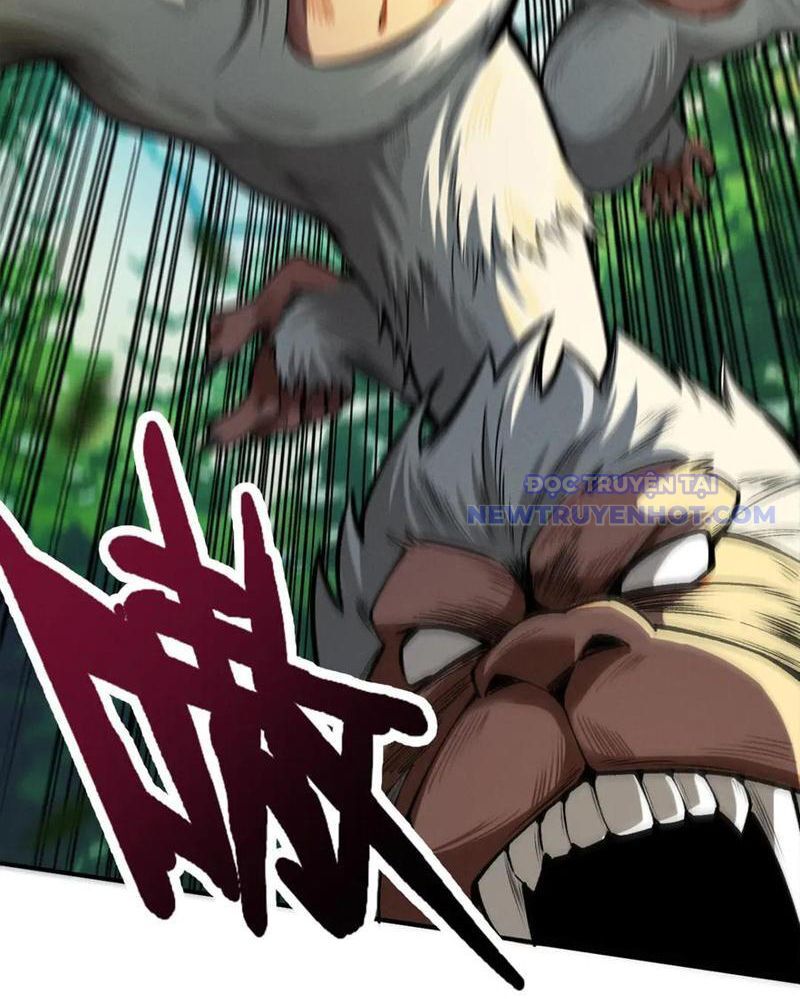 Gặp Mạnh Thì Càng Mạnh, Tu Vi Của Ta Không Giới Hạn Chapter 16 - Trang 2