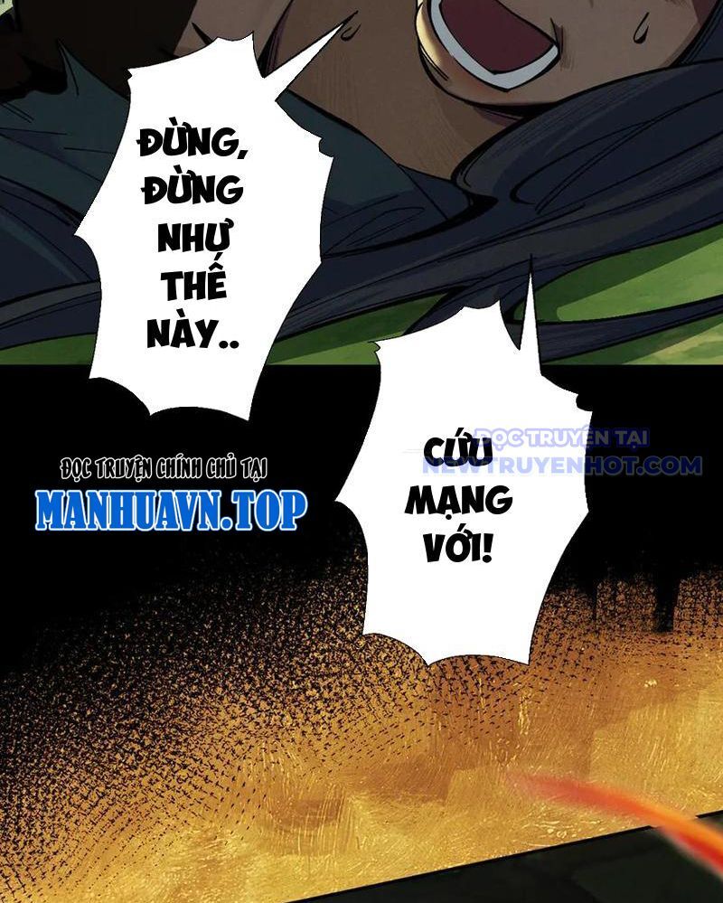 Gặp Mạnh Thì Càng Mạnh, Tu Vi Của Ta Không Giới Hạn Chapter 16 - Trang 2