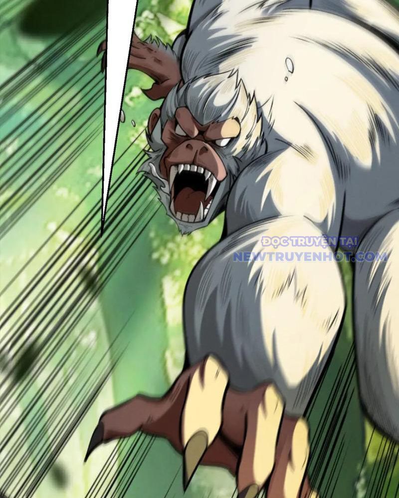 Gặp Mạnh Thì Càng Mạnh, Tu Vi Của Ta Không Giới Hạn Chapter 16 - Trang 2