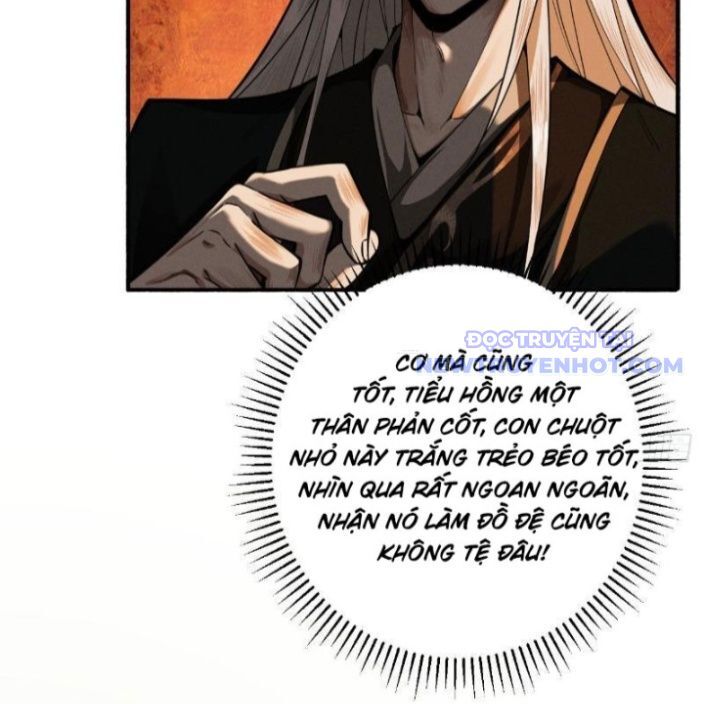 Gặp Mạnh Thì Càng Mạnh, Tu Vi Của Ta Không Giới Hạn Chapter 17 - Trang 2