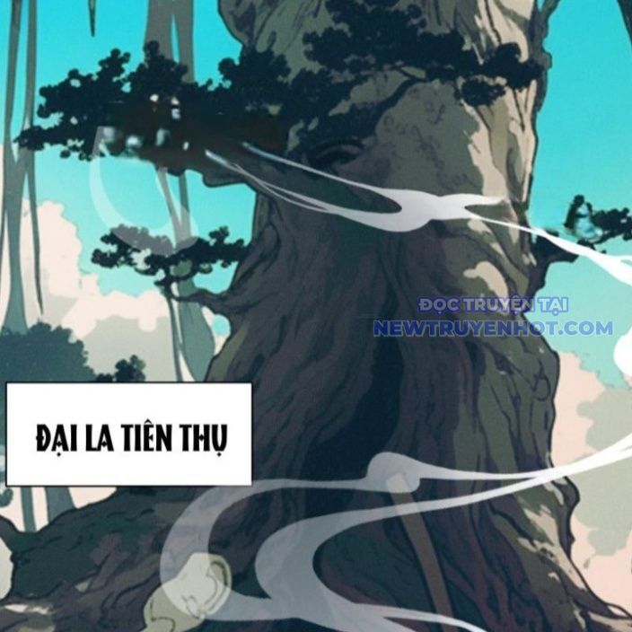Gặp Mạnh Thì Càng Mạnh, Tu Vi Của Ta Không Giới Hạn Chapter 17 - Trang 2
