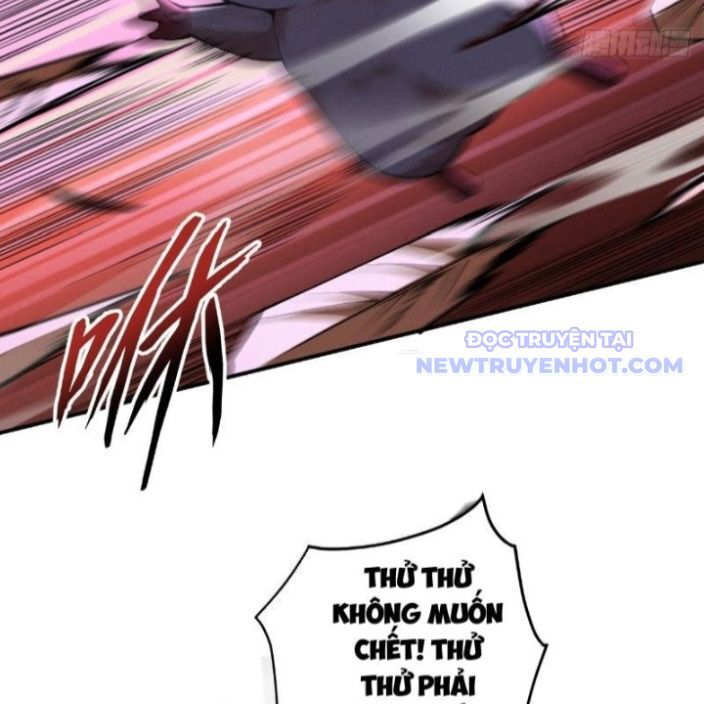 Gặp Mạnh Thì Càng Mạnh, Tu Vi Của Ta Không Giới Hạn Chapter 17 - Trang 2