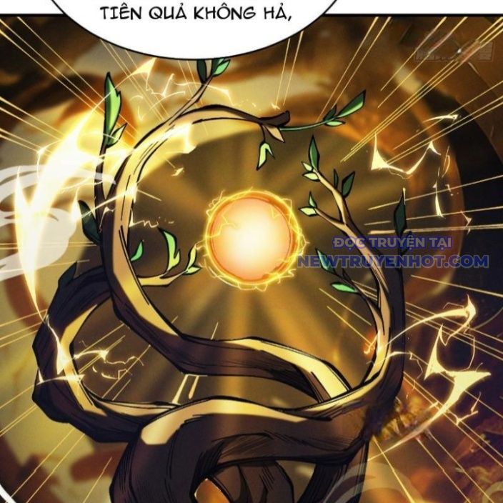Gặp Mạnh Thì Càng Mạnh, Tu Vi Của Ta Không Giới Hạn Chapter 17 - Trang 2