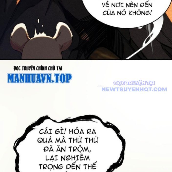 Gặp Mạnh Thì Càng Mạnh, Tu Vi Của Ta Không Giới Hạn Chapter 17 - Trang 2