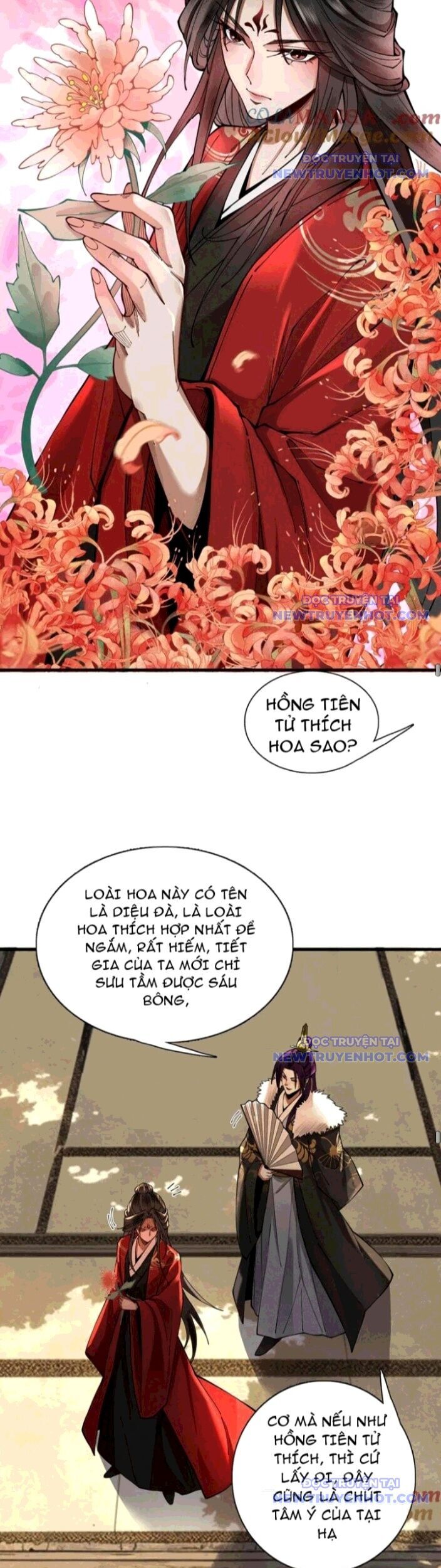 Gặp Mạnh Thì Càng Mạnh, Tu Vi Của Ta Không Giới Hạn Chapter 28 - Trang 2