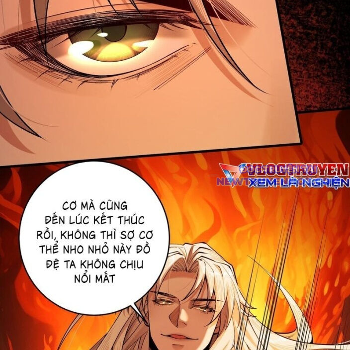 Gặp Mạnh Thì Càng Mạnh, Tu Vi Của Ta Không Giới Hạn Chapter 33 - Trang 2