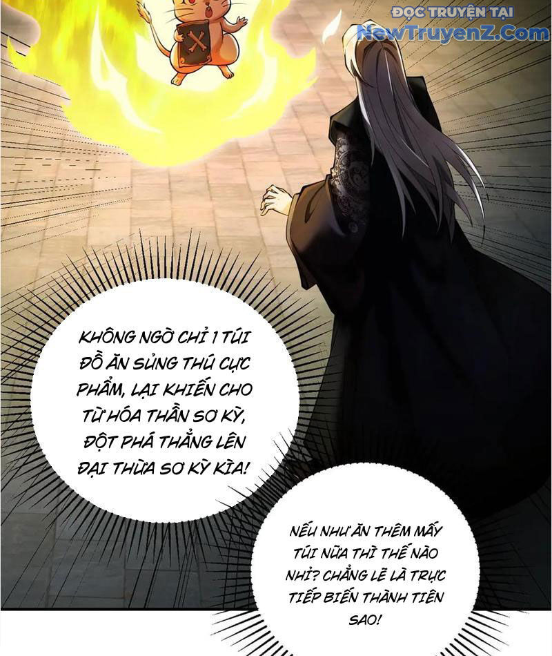 Gặp Mạnh Thì Càng Mạnh, Tu Vi Của Ta Không Giới Hạn Chapter 38 - Trang 2