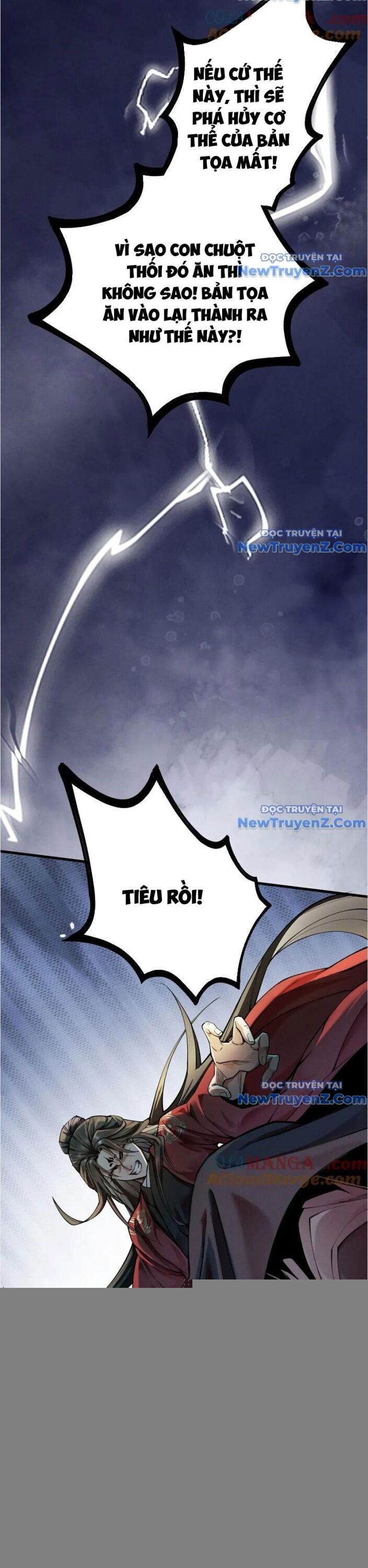 Gặp Mạnh Thì Càng Mạnh, Tu Vi Của Ta Không Giới Hạn Chapter 39 - Trang 2