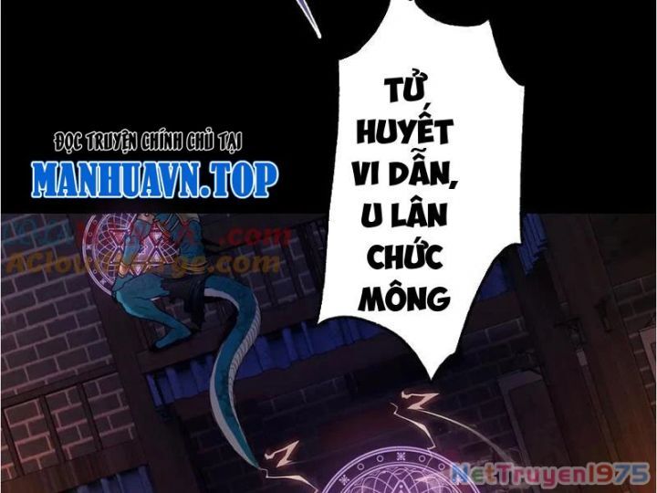 Gặp Mạnh Thì Càng Mạnh, Tu Vi Của Ta Không Giới Hạn Chapter 41 - Trang 2