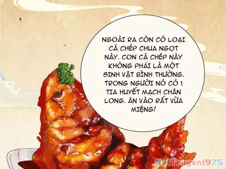 Gặp Mạnh Thì Càng Mạnh, Tu Vi Của Ta Không Giới Hạn Chapter 41 - Trang 2