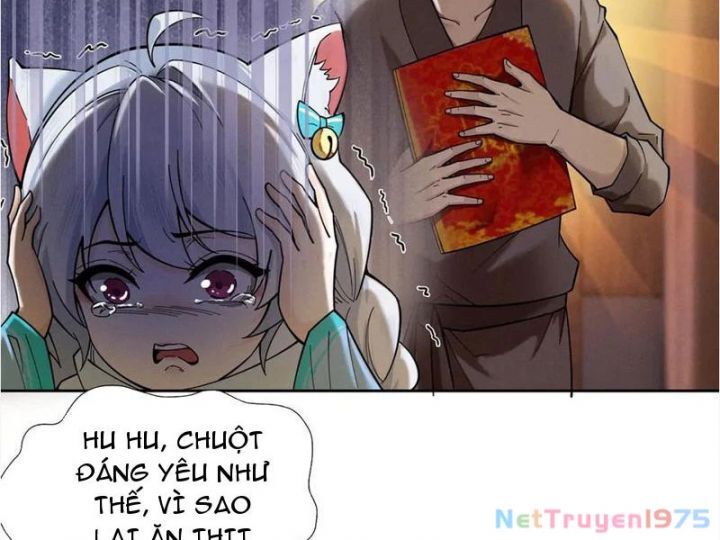 Gặp Mạnh Thì Càng Mạnh, Tu Vi Của Ta Không Giới Hạn Chapter 41 - Trang 2