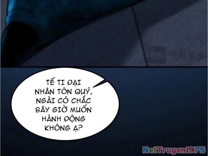 Gặp Mạnh Thì Càng Mạnh, Tu Vi Của Ta Không Giới Hạn Chapter 41 - Trang 2