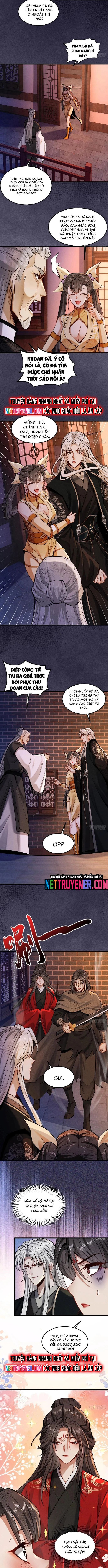 Gặp Mạnh Thì Càng Mạnh, Tu Vi Của Ta Không Giới Hạn Chapter 43 - Trang 2