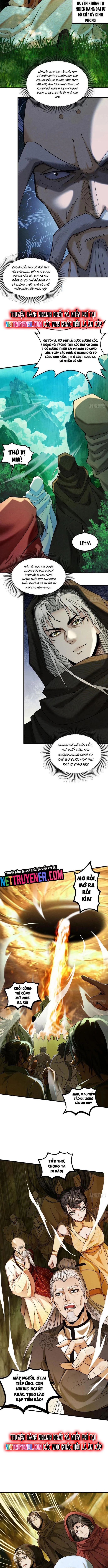 Gặp Mạnh Thì Càng Mạnh, Tu Vi Của Ta Không Giới Hạn Chapter 43 - Trang 2