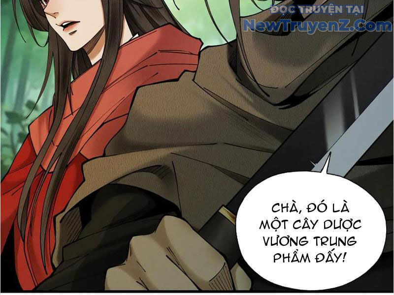 Gặp Mạnh Thì Càng Mạnh, Tu Vi Của Ta Không Giới Hạn Chapter 45 - Trang 2