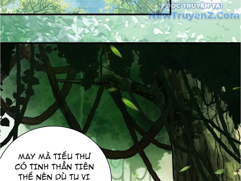 Gặp Mạnh Thì Càng Mạnh, Tu Vi Của Ta Không Giới Hạn Chapter 45 - Trang 2