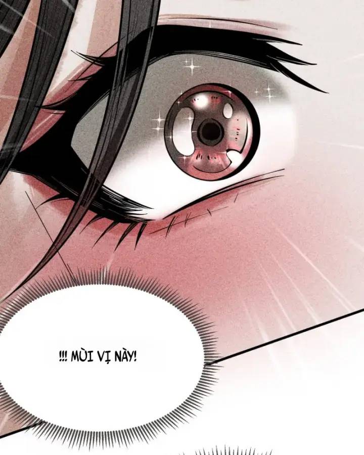 Gặp Mạnh Thì Càng Mạnh, Tu Vi Của Ta Không Giới Hạn Chapter 5 - Trang 2