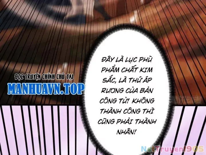 Gặp Mạnh Thì Càng Mạnh, Tu Vi Của Ta Không Giới Hạn Chapter 82 - Trang 2