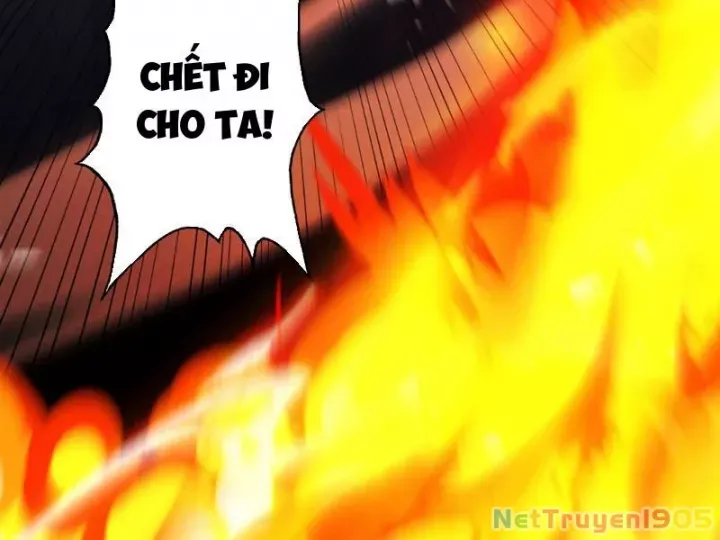 Gặp Mạnh Thì Càng Mạnh, Tu Vi Của Ta Không Giới Hạn Chapter 82 - Trang 2