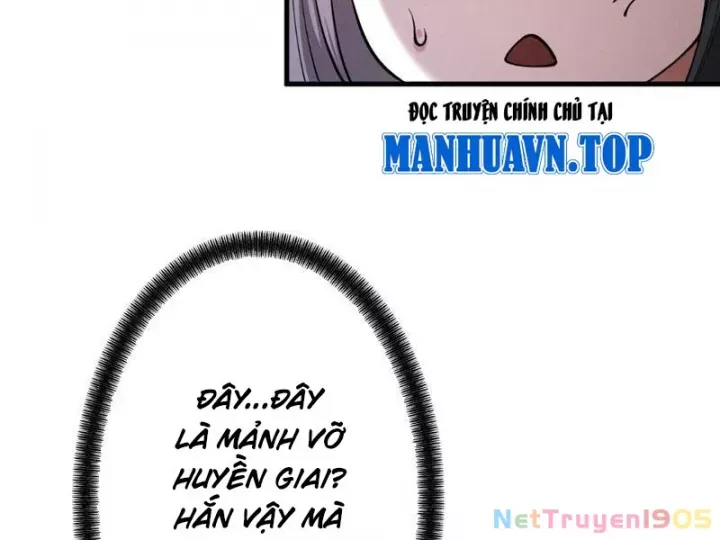 Gặp Mạnh Thì Càng Mạnh, Tu Vi Của Ta Không Giới Hạn Chapter 82 - Trang 2