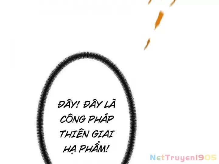 Gặp Mạnh Thì Càng Mạnh, Tu Vi Của Ta Không Giới Hạn Chapter 82 - Trang 2