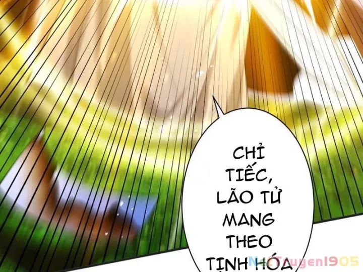 Gặp Mạnh Thì Càng Mạnh, Tu Vi Của Ta Không Giới Hạn Chapter 82 - Trang 2