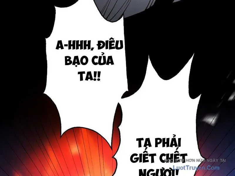Gặp Mạnh Thì Càng Mạnh, Tu Vi Của Ta Không Giới Hạn Chapter 84 - Trang 2