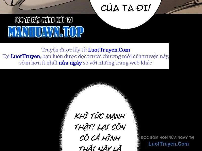 Gặp Mạnh Thì Càng Mạnh, Tu Vi Của Ta Không Giới Hạn Chapter 84 - Trang 2