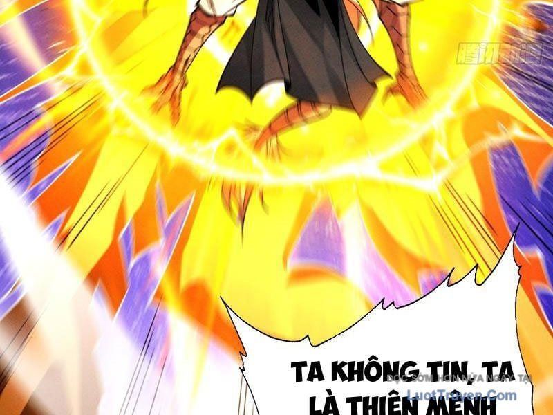 Gặp Mạnh Thì Càng Mạnh, Tu Vi Của Ta Không Giới Hạn Chapter 85 - Trang 2