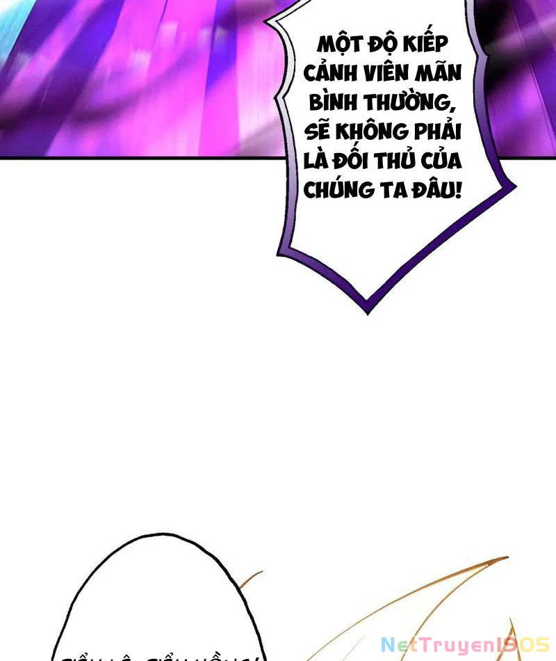 Gặp Mạnh Thì Mạnh, Ta Tu Vi Vô Thượng Hạn Chapter 65 - Trang 2