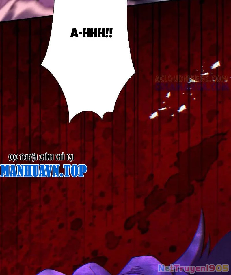 Gặp Mạnh Thì Mạnh, Ta Tu Vi Vô Thượng Hạn Chapter 65 - Trang 2
