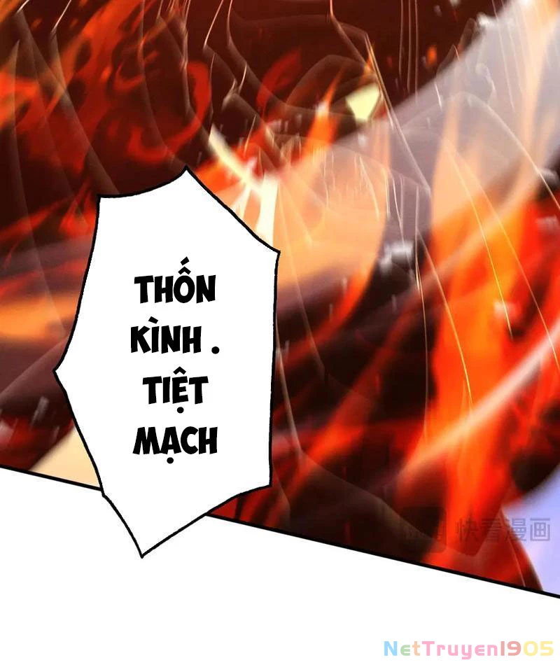 Gặp Mạnh Thì Mạnh, Ta Tu Vi Vô Thượng Hạn Chapter 65 - Trang 2