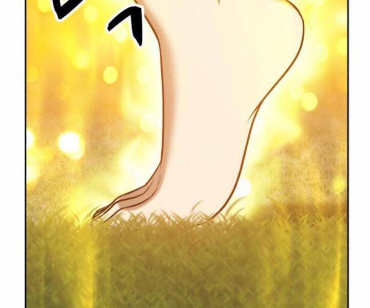 Gậy Gỗ Cấp 99+ Chapter 10.5 - Trang 2