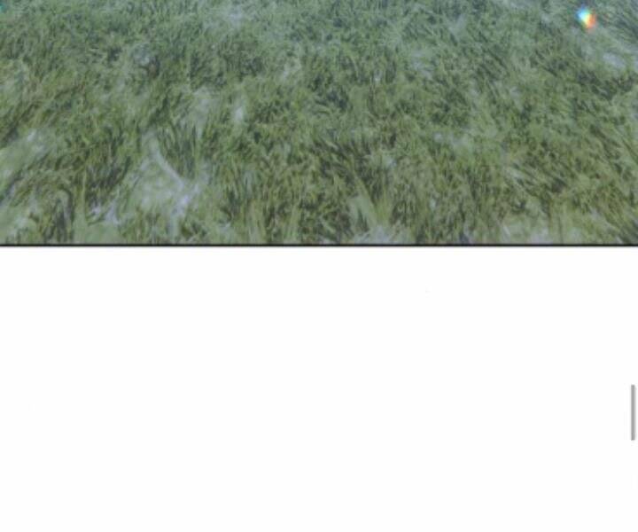 Gậy Gỗ Cấp 99+ Chapter 10.5 - Trang 2