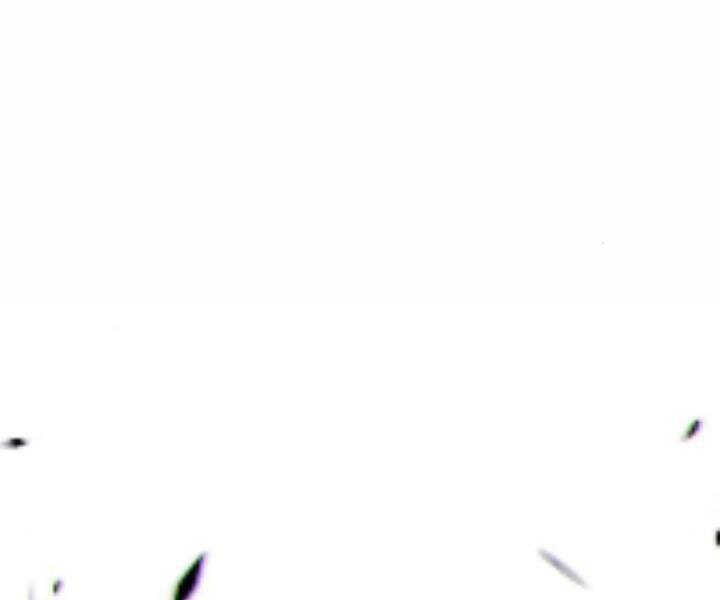 Gậy Gỗ Cấp 99+ Chapter 10.5 - Trang 2