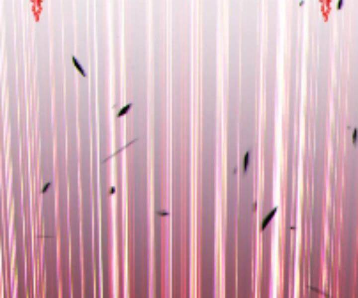 Gậy Gỗ Cấp 99+ Chapter 10.5 - Trang 2