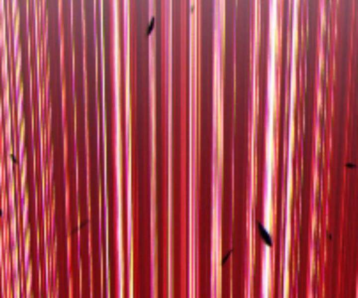 Gậy Gỗ Cấp 99+ Chapter 10.5 - Trang 2