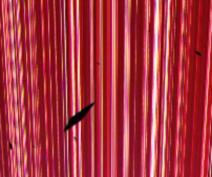 Gậy Gỗ Cấp 99+ Chapter 10.5 - Trang 2