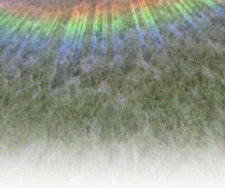 Gậy Gỗ Cấp 99+ Chapter 10.5 - Trang 2