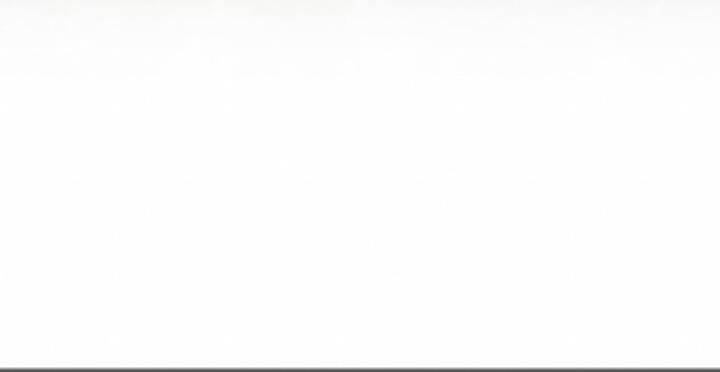 Gậy Gỗ Cấp 99+ Chapter 10.5 - Trang 2