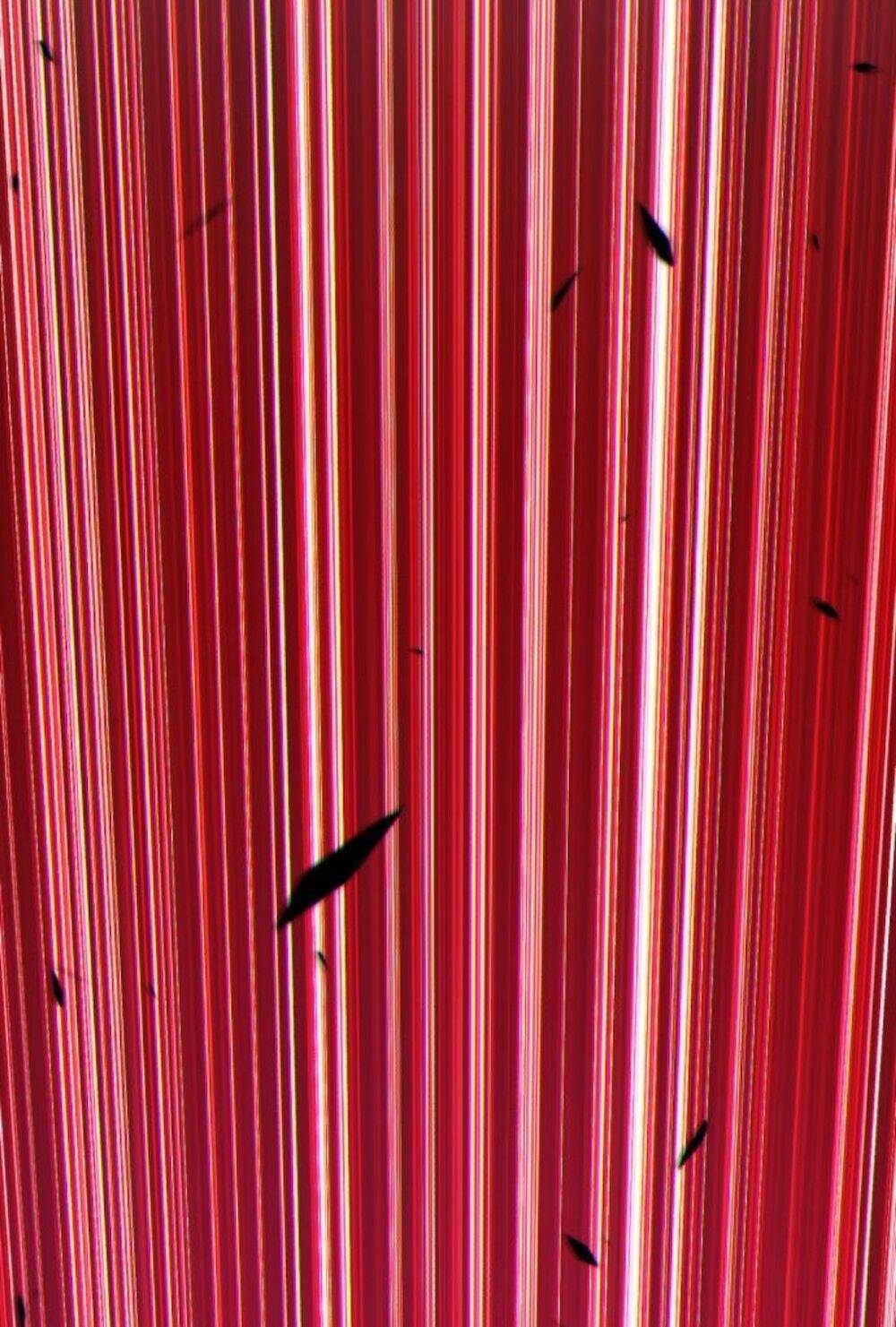 Gậy Gỗ Cấp 99+ Chapter 11 - Trang 2