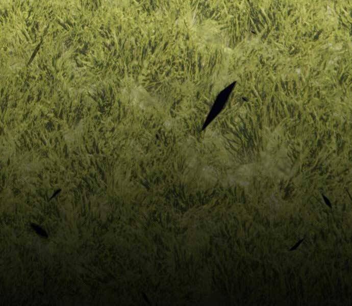 Gậy Gỗ Cấp 99+ Chapter 15.5 - Trang 2